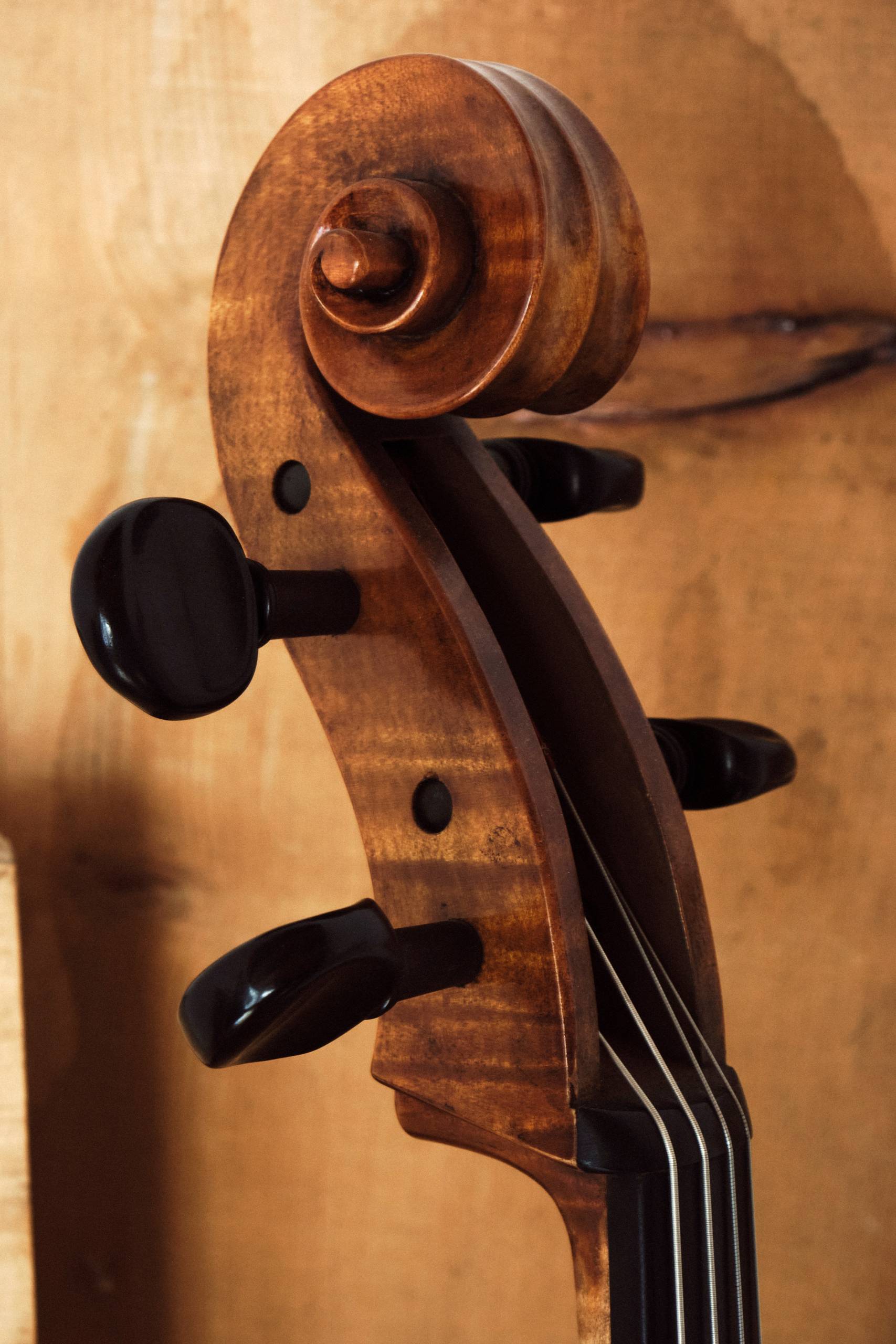 Atelier Lutherie