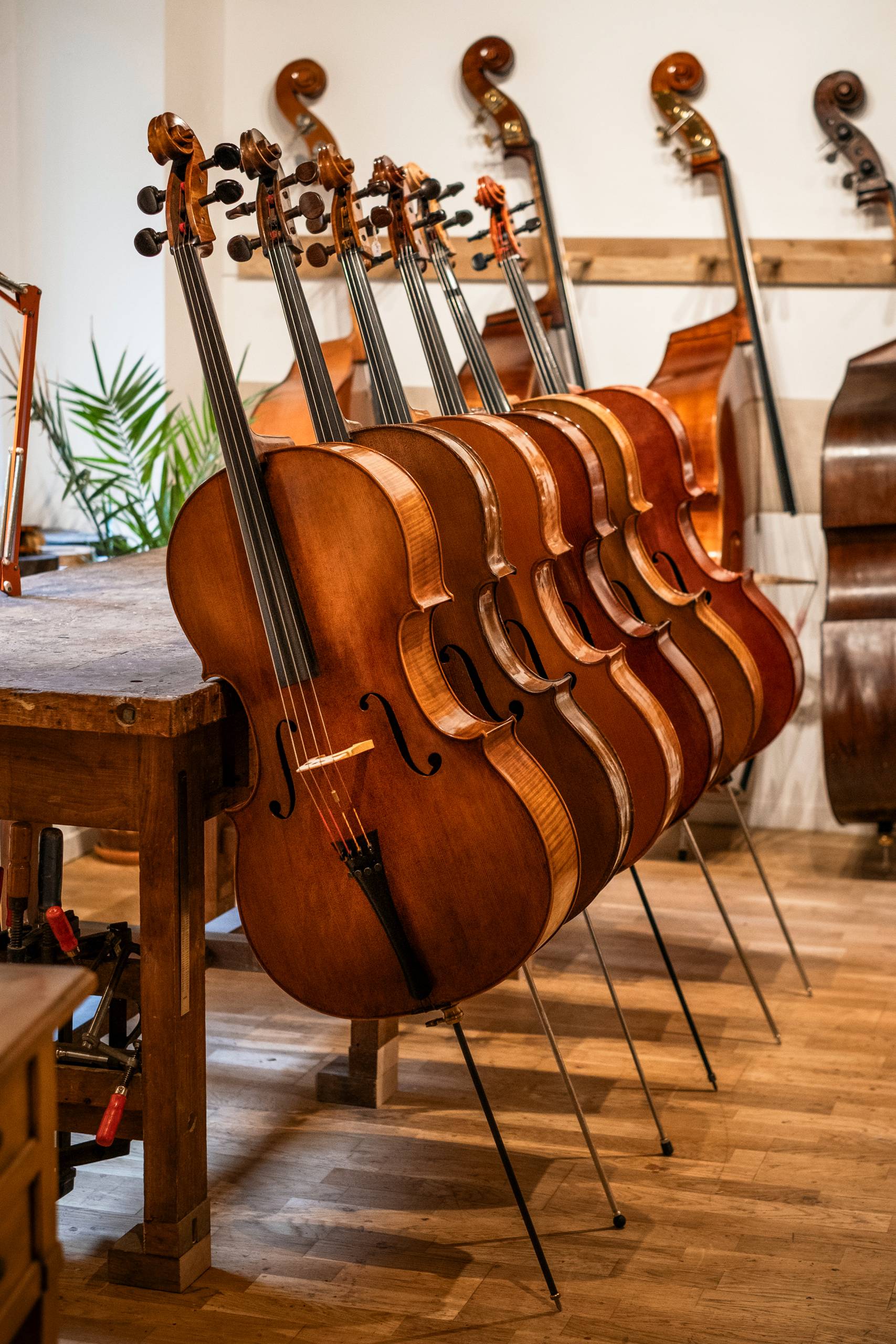 atelier lutherie, contrebasse, violoncelle, alto, violon, bois, cordes, instruments de musique; luthier; outils de lutherie; outils; Yves-Antoine Gachet; savoir faire; mirecourt; artisanat; france