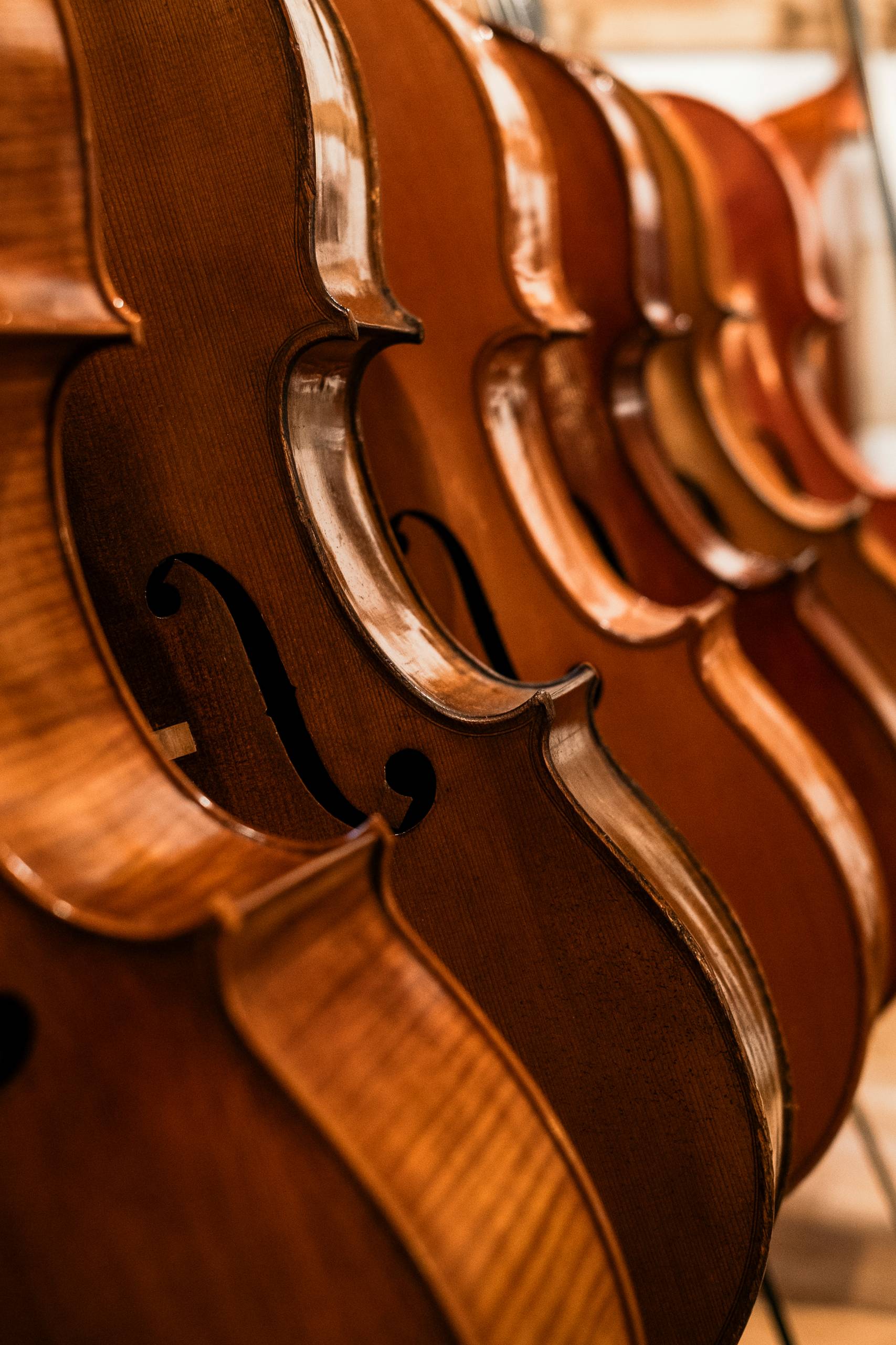 atelier lutherie, contrebasse, violoncelle, alto, violon, bois, cordes, instruments de musique; luthier; outils de lutherie; outils; Yves-Antoine Gachet; savoir faire; mirecourt; artisanat; france
