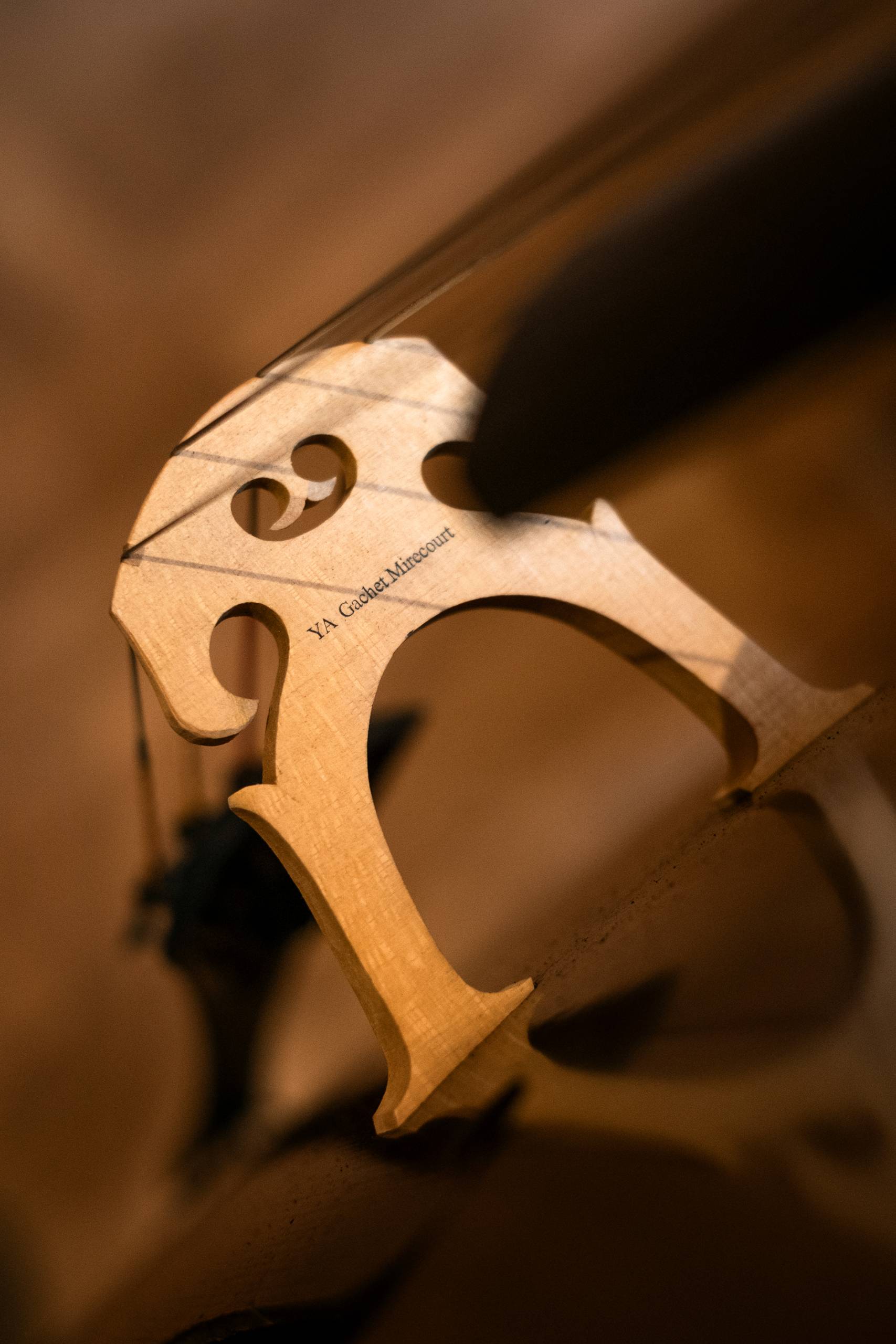 atelier lutherie, contrebasse, violoncelle, alto, violon, bois, cordes, instruments de musique; luthier; outils de lutherie; outils; Yves-Antoine Gachet; savoir faire; mirecourt; artisanat; france