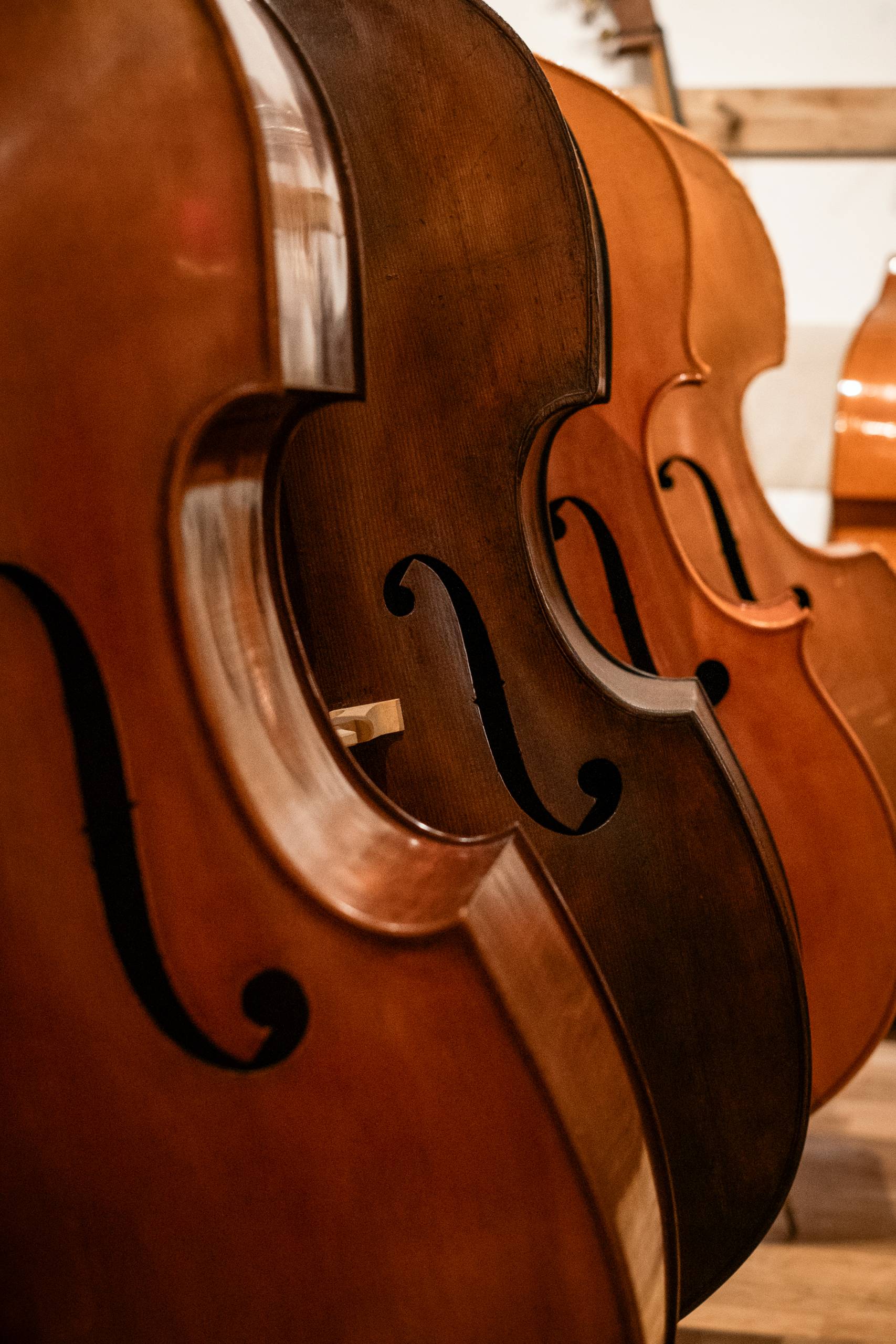 atelier lutherie, contrebasse, violoncelle, alto, violon, bois, cordes, instruments de musique; luthier; outils de lutherie; outils; Yves-Antoine Gachet; savoir faire; mirecourt; artisanat; france